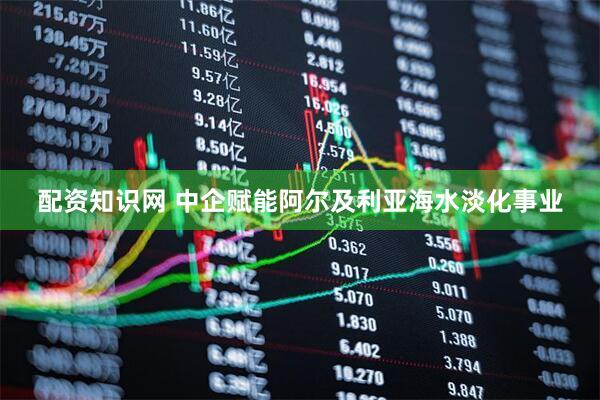 配资知识网 中企赋能阿尔及利亚海水淡化事业