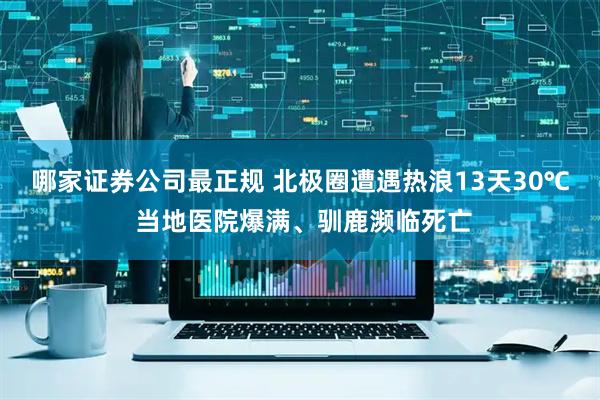 哪家证券公司最正规 北极圈遭遇热浪13天30℃ 当地医院爆满、驯鹿濒临死亡