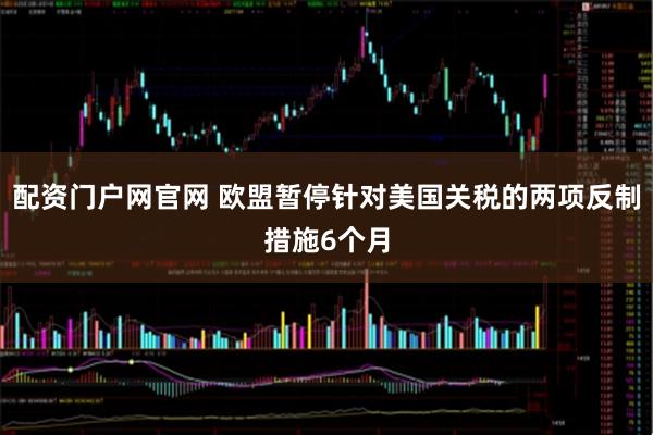 配资门户网官网 欧盟暂停针对美国关税的两项反制措施6个月